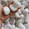 Top Quality Landscape White Pebble Stone