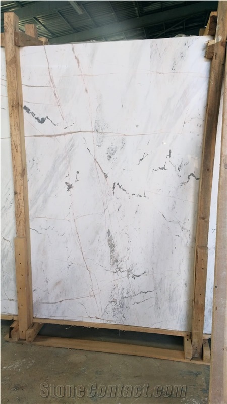Dolomite Spider Marble- Bianco Dolomiti White Marble Slabs/Tiles