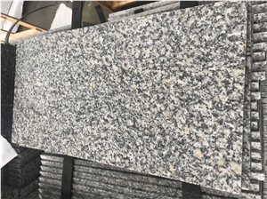 China Bianco Sardo Granite New G602 Granite Tiles