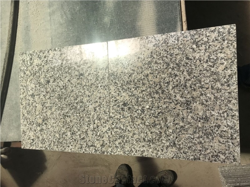 China Bianco Sardo Granite New G602 Granite Tiles