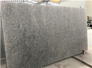 China Bianco Sardo New G602 Granite Slabs Tiles