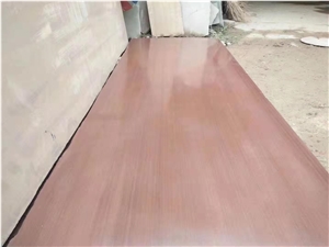 China Red Sandstone Installation Slabs/Tiles