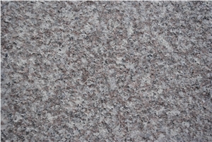 Misty Brown/Ruby Red/Luna Pearl G664 Granite Tiles