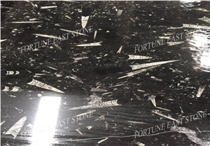 Morocco Fossil Black Marble Slabs