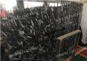 Morocco Fossil Black Marble Slabs