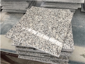 New G602 Polished Grey Granite Tiles