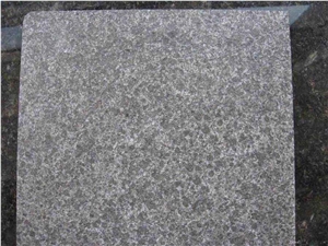 New G684 Granite Flamed Paving Tiles