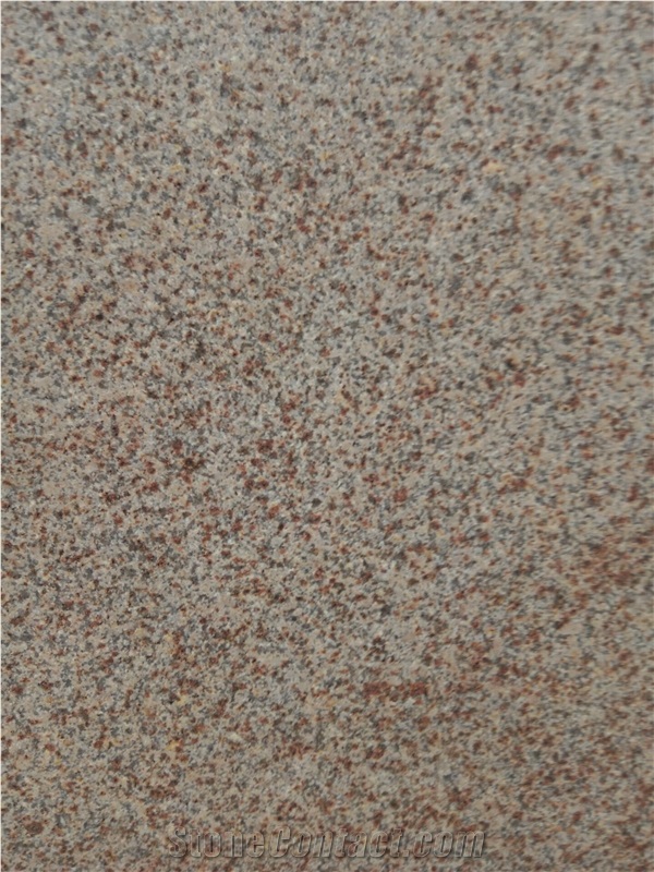 Shandong Rust Granite Slabs/Gold Cannabis G350
