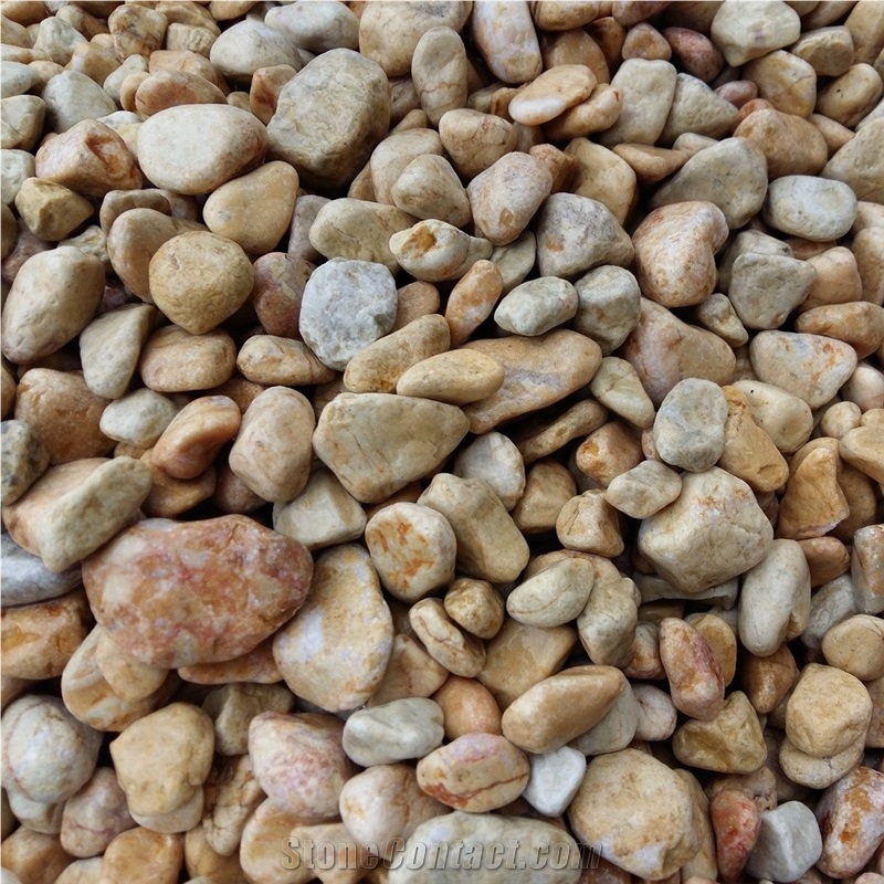 Wholesale Yellow Pebbles Stone from Viet Nam