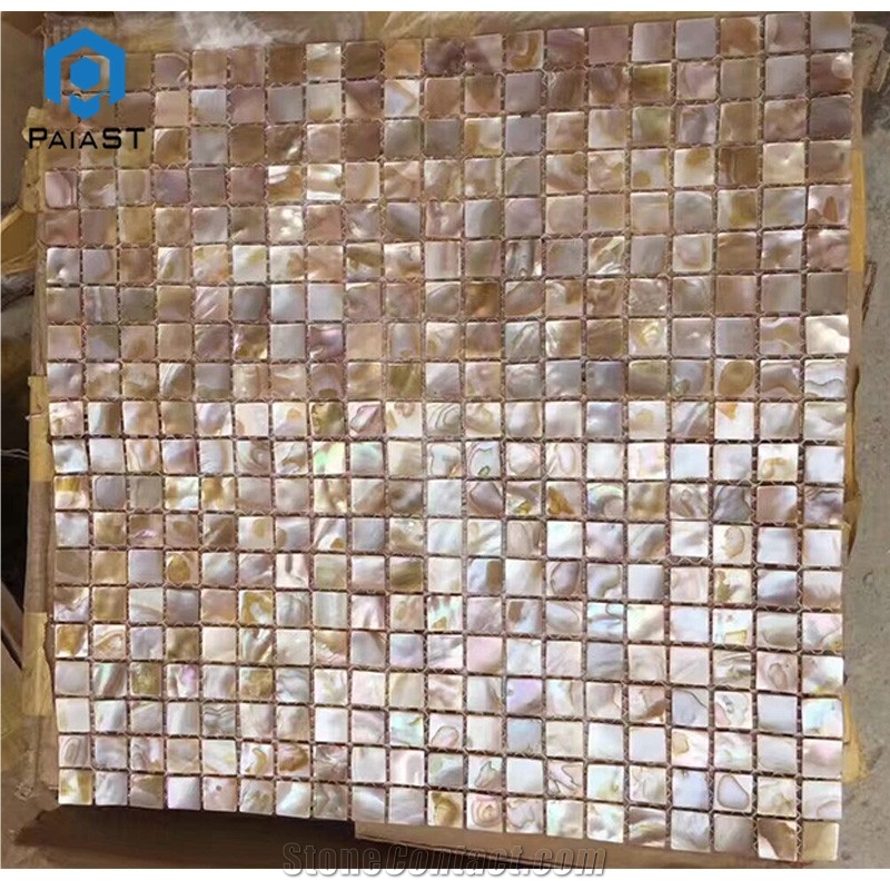 Beautiful Shell Mosaic Tiles for Interior Home