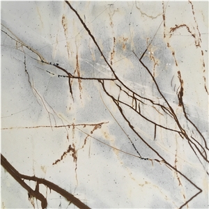 Best Quality Bark Quartzite For Background Wall