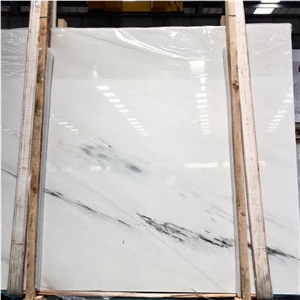 China Ink White Marble With Black Veins For Wall