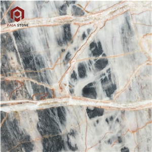 Chinese High Polished Black Jungle Marble