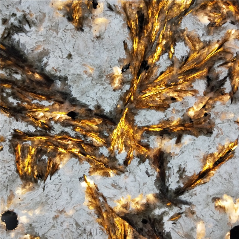 Exotic Granite Golden Phoenix Backlight Background