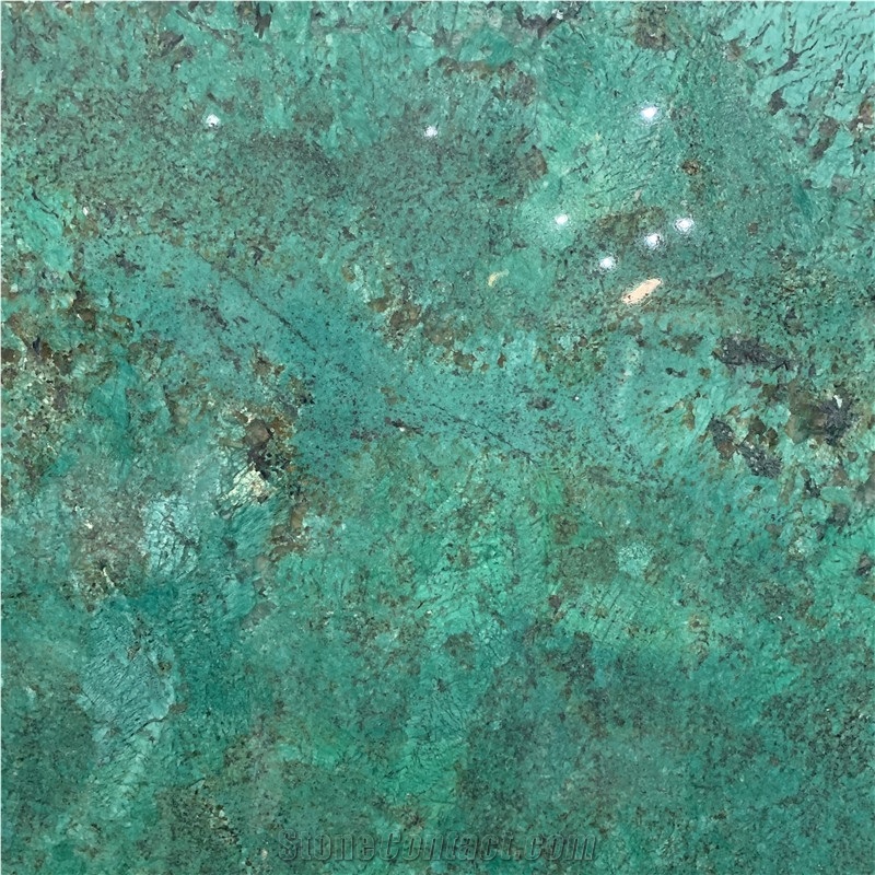 Exotic Green Granite Slab For Luxury Design from China - StoneContact.com