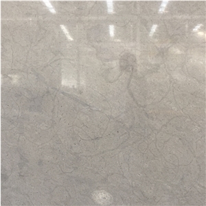 Hot Sale Champagne Grey Marble Slabs & Tiles