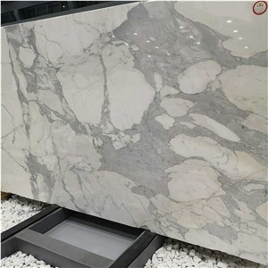 Italy Calacatta White Marble with Gray Vein Marble