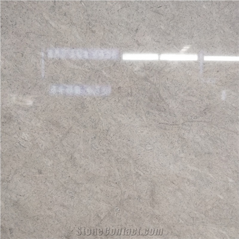 Morden Champagne Grey Marble for Shopping Mall