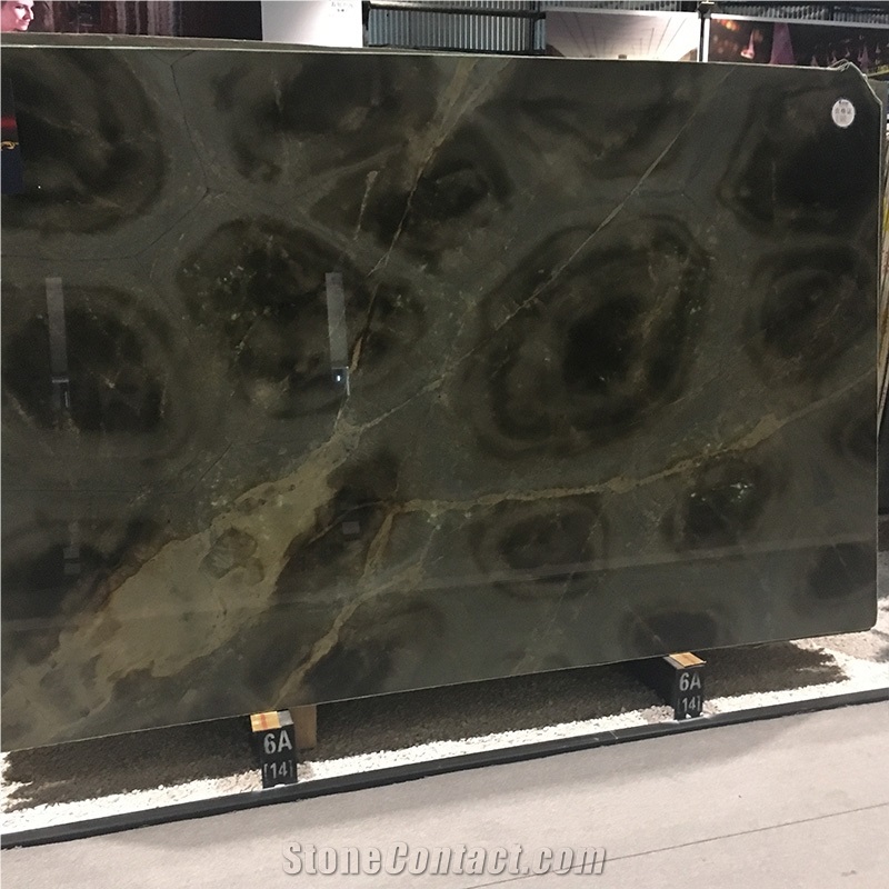 Polished Luxury Turtle Illusion Quartzite Exotic Stone