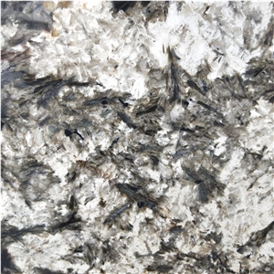 Snowfox Exotic Granite for Wall Decoration