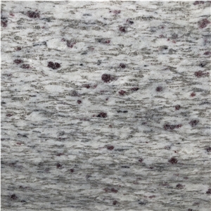 Warner White Granite Slabs for Flooring