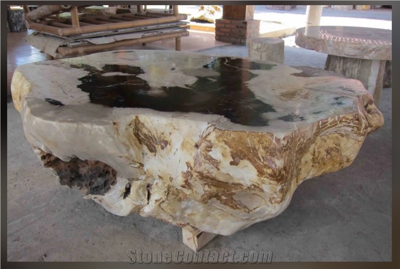 Petrified Wood Stone Chairs, Benches, Table Sets