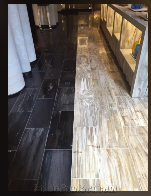Petrified Wood Stone Wall and Floor Tiles