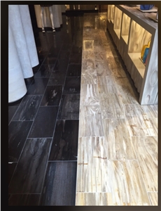 Petrified Wood Stone Wall and Floor Tiles