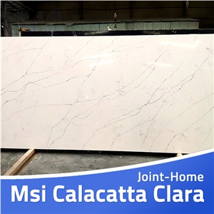 Msi Calacatta Clara Quartz Stone Slabs for Countertops