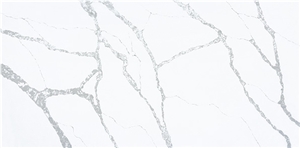Msi Stone Calacatta White Quartz Slab