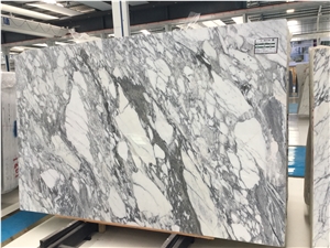 Lower Price Arabescato Marble Slabs/Tiles