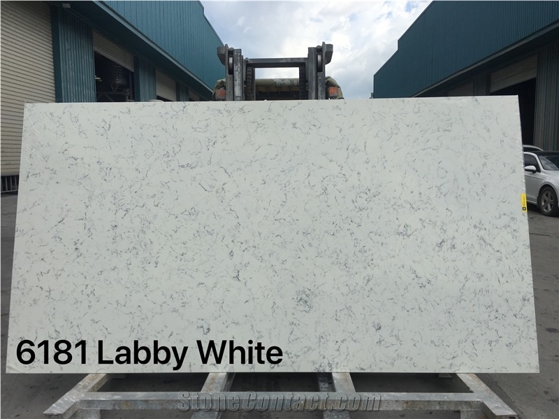 Carrara White Quartz for Kitchentop Walling