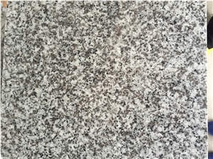 New G439 Bala Flower Grey Granite Slabs Tiles