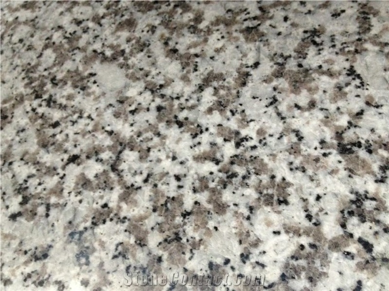 New G439 Bala Flower White Granite Slabs Tiles