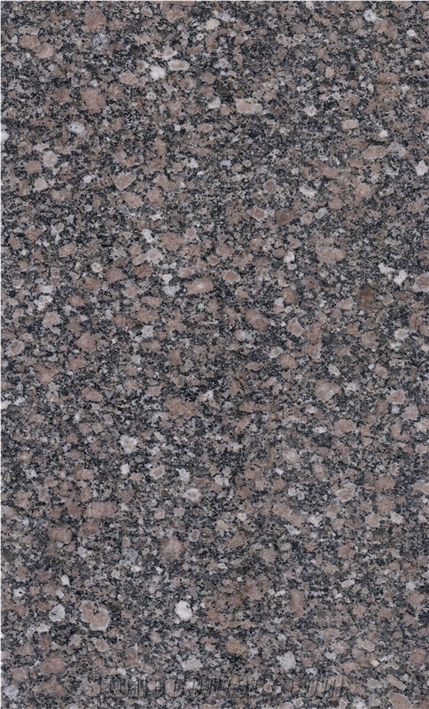 Gandola Granite Tiles & Slabs, Polished Granite