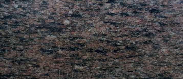Kemet Brown Granite Tiles & Slabs, Brown Granite