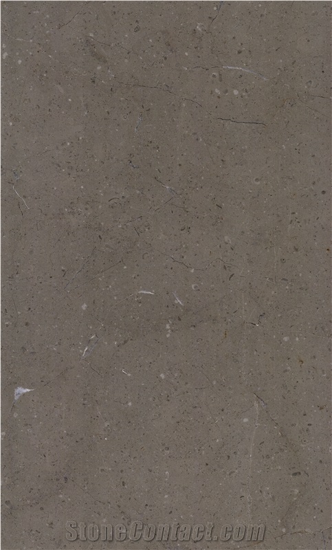 Marron Grey Marble Tiles & Slabs, Grey Polished Marble