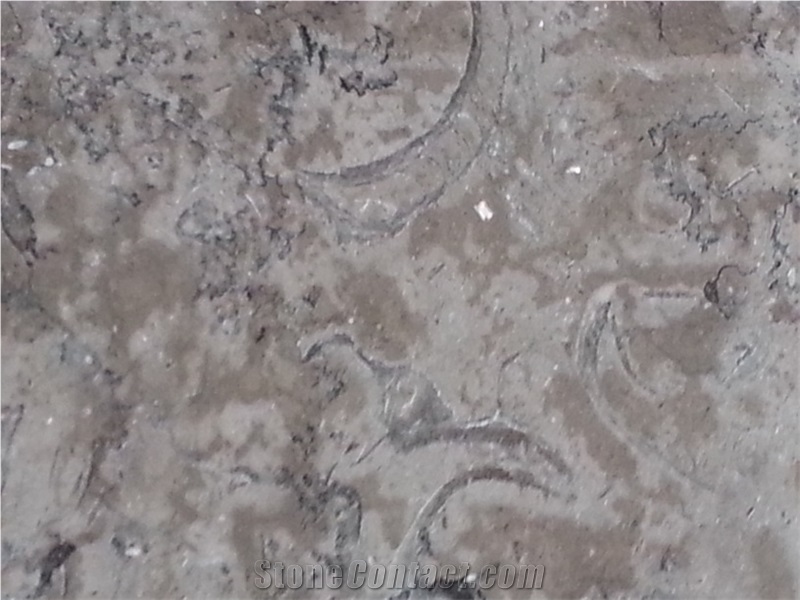 Melly Grey Marble, Egyptian Honed Marble Slabs