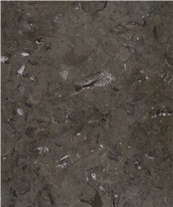 Mely Brown Honed Egyptian Marble-