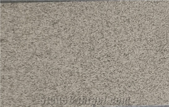 G655 China Touan Grey Granite Polished Wall Tiles
