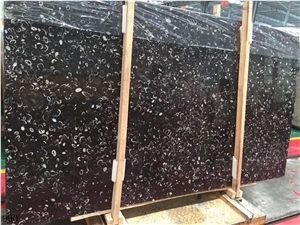 China Shell Black Marble Slab Wall Floor Tiles Use