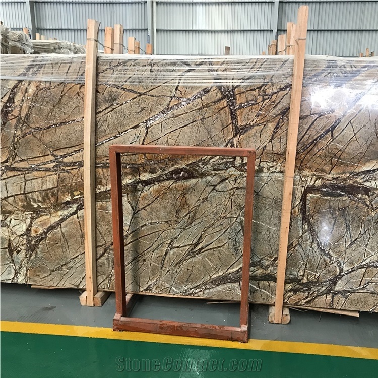 Root Fossil Brown Marble Slab