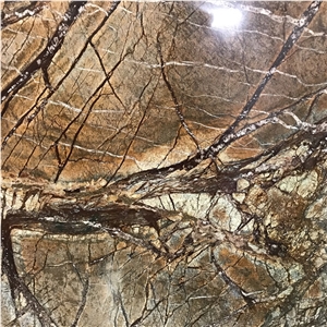Root Fossil Brown Marble Slab