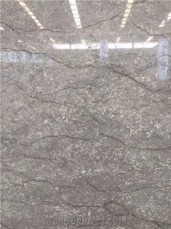 Turkey Fantasy Grey Marble Slab Wall Floor Tiles