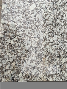 G439 Granite White Follower Granite