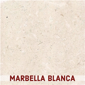 Marbella Blanca Limestone Wall Application