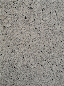 New Grey Granite Bethal White Slabs and Tiles