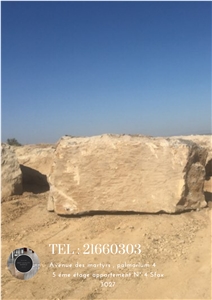 Kadhel Marron Marble Block, Tunisia Brown Marble