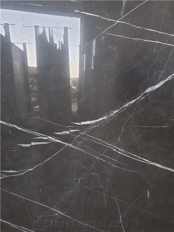 Black and White Marble (Pietra Gray Marble)