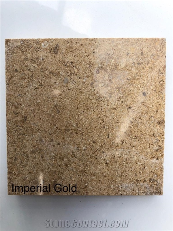 Sunny Medium- Imperial Gold Marble